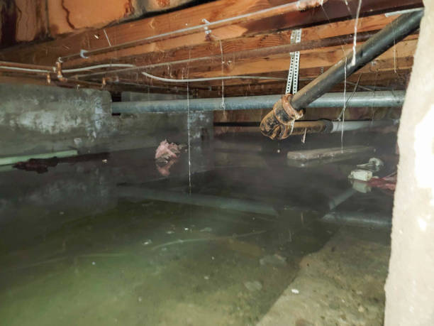 Best Water damage restoration near me  in Lockport Heights, LA