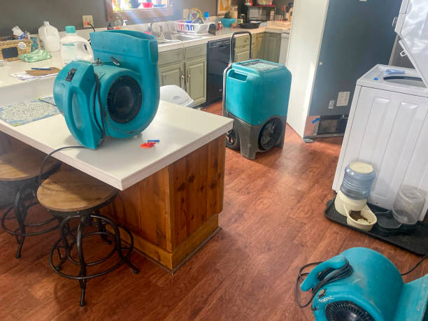 Best Mold removal after water damage  in Lockport Heights, LA