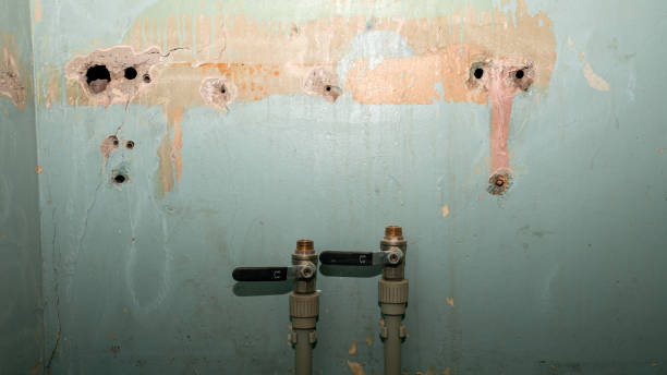 Best Residential water damage restoration  in Lockport Heights, LA