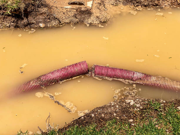 Best 24-hour water damage restoration  in Lockport Heights, LA