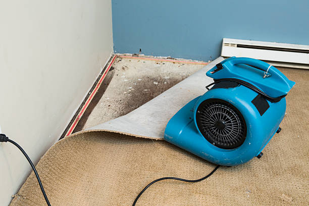 Best Flood damage cleanup  in Lockport Heights, LA